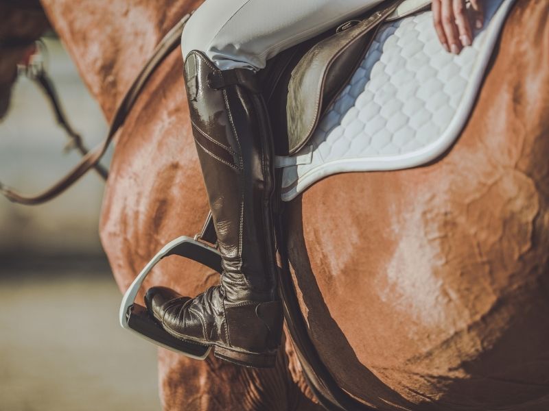 Dlaczego bryczesy jeździeckie są ważne dla jeźdźców?